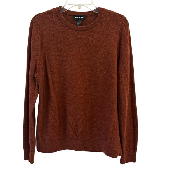 Express Men's Fall Brown Rust Sweater Merino Wool Size Large - Picture 1 of 4